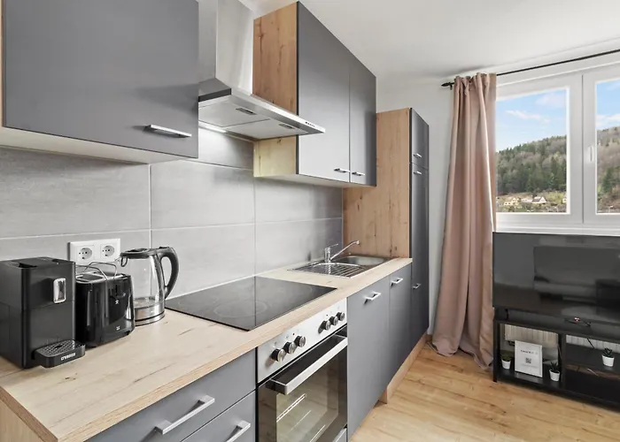 Modernes Apartment Ideal Fuer 4 Gaeste